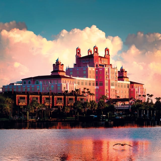 a bird flying low to the water with The Don Cesar in the background