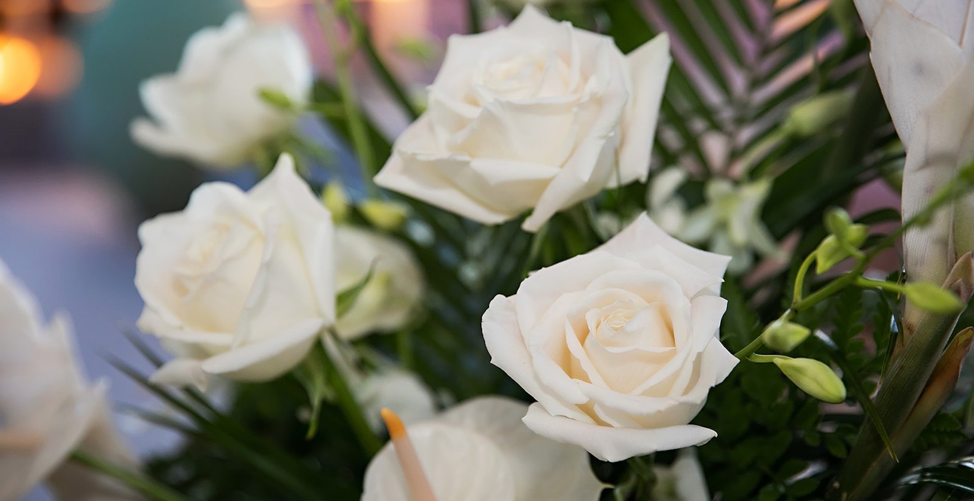 close up of white roses