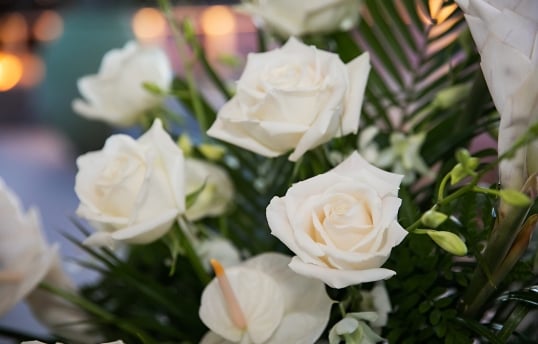 close up of white roses