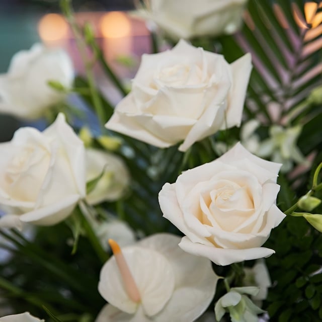 close up of white roses