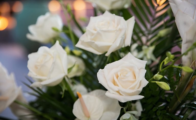 close up of white roses